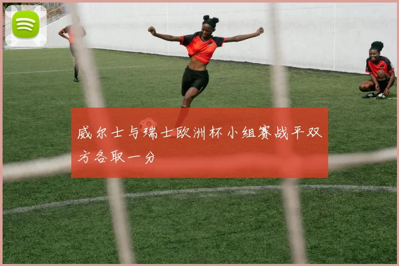 威尔士与瑞士欧洲杯小组赛战平双方各取一分