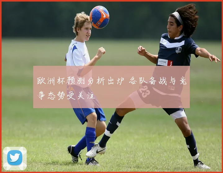 欧洲杯预测分析出炉 各队备战与竞争态势受关注