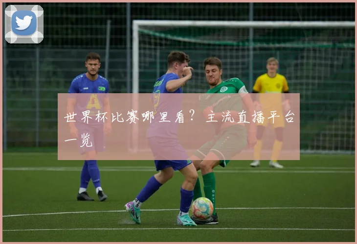 世界杯比赛哪里看?主流直播平台一览