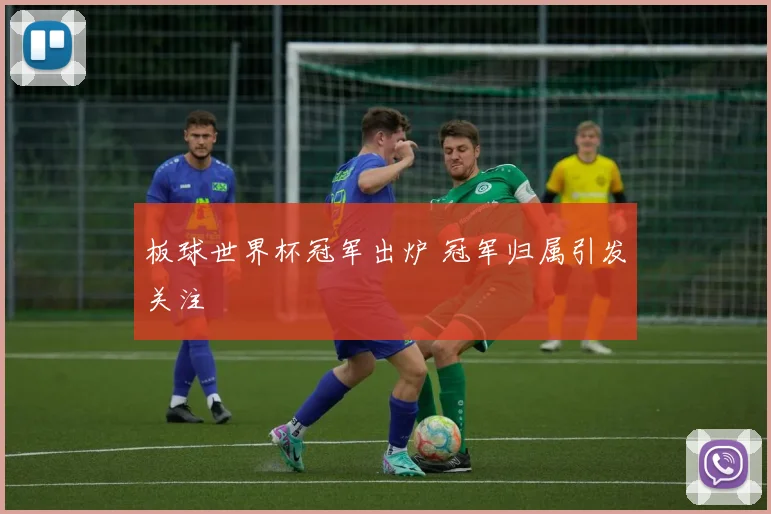 板球世界杯冠军出炉 冠军归属引发关注