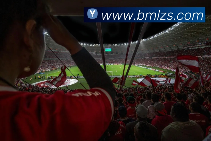 世界杯网上购票平台平台生态图